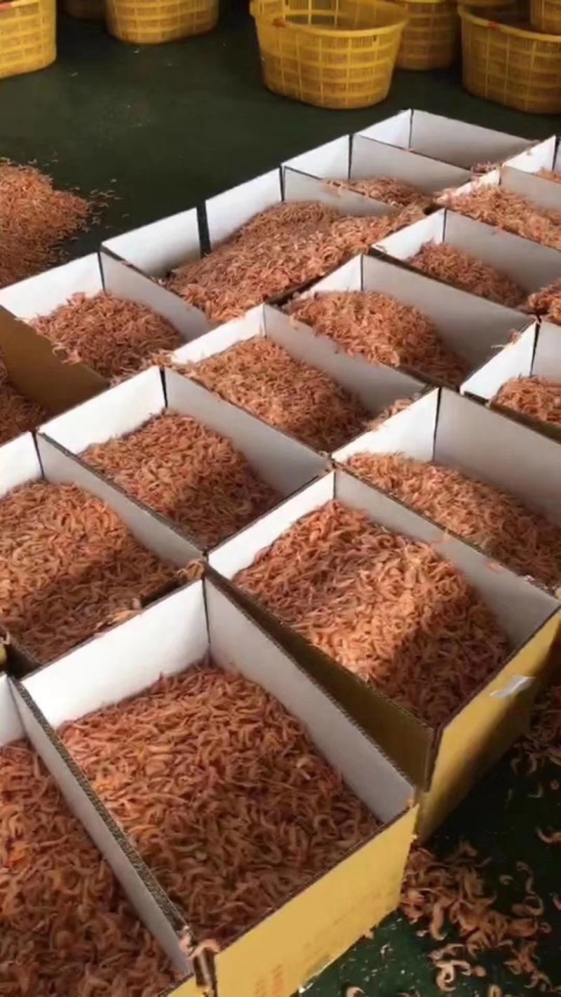 大号南极磷虾干一箱10斤