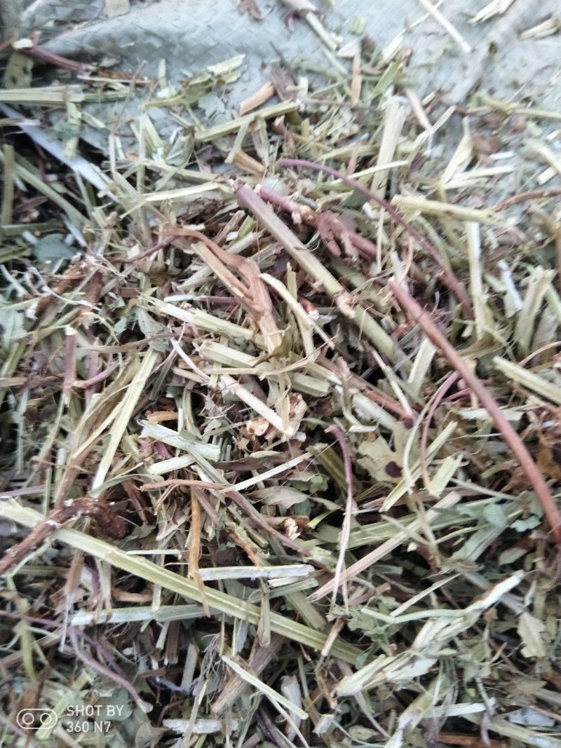 花生秧