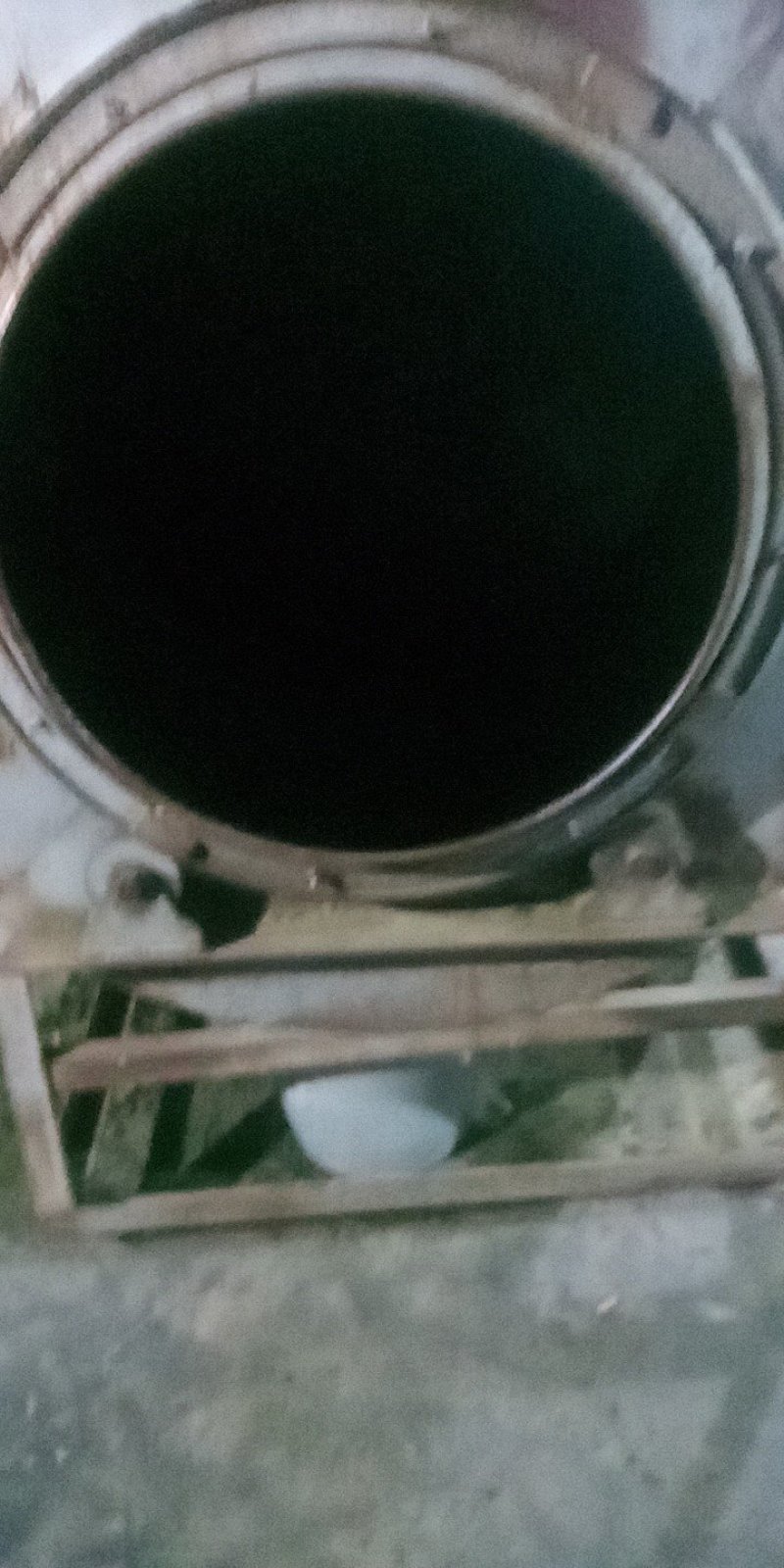 安溪铁观音