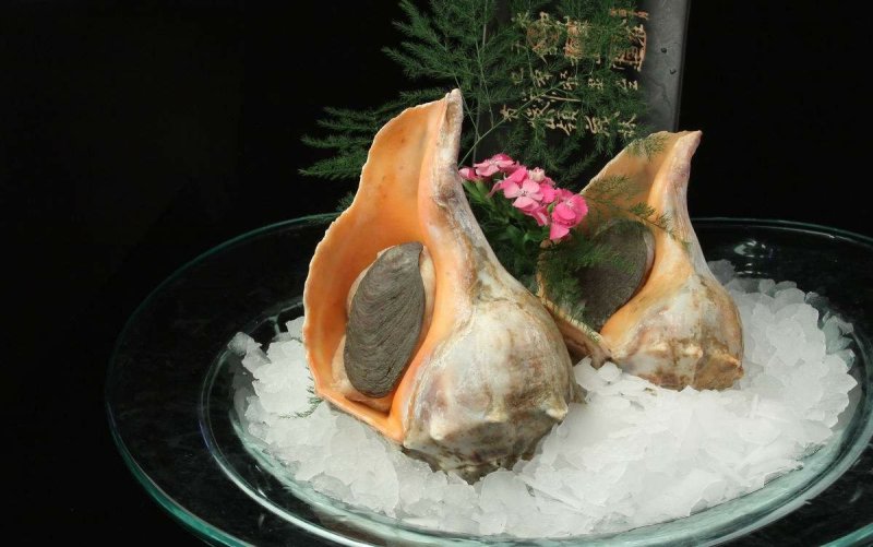 大海螺