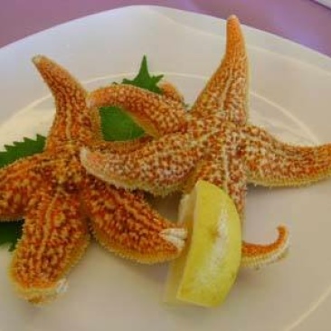 海星