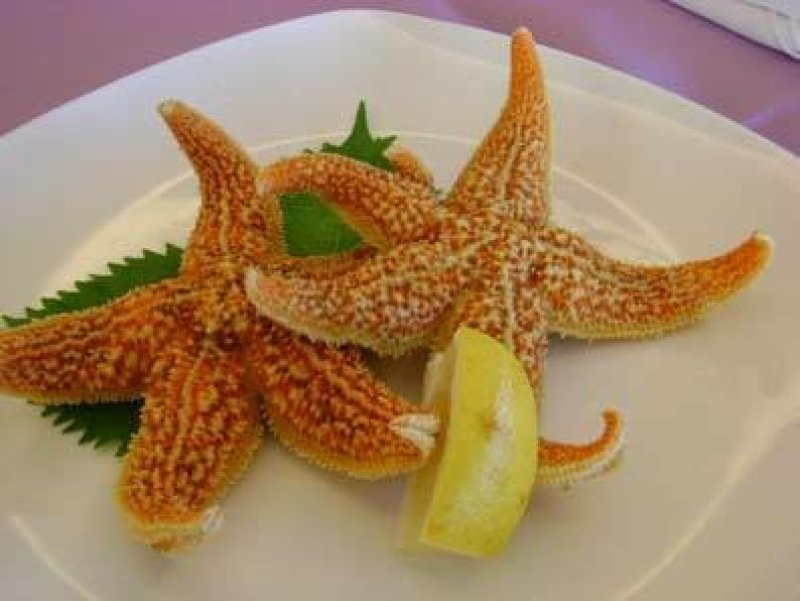 海星