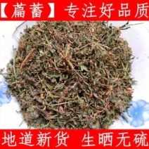 萹蓄扁蓄