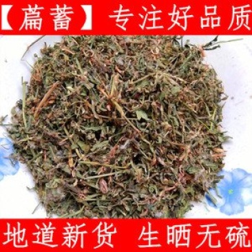 萹蓄扁蓄