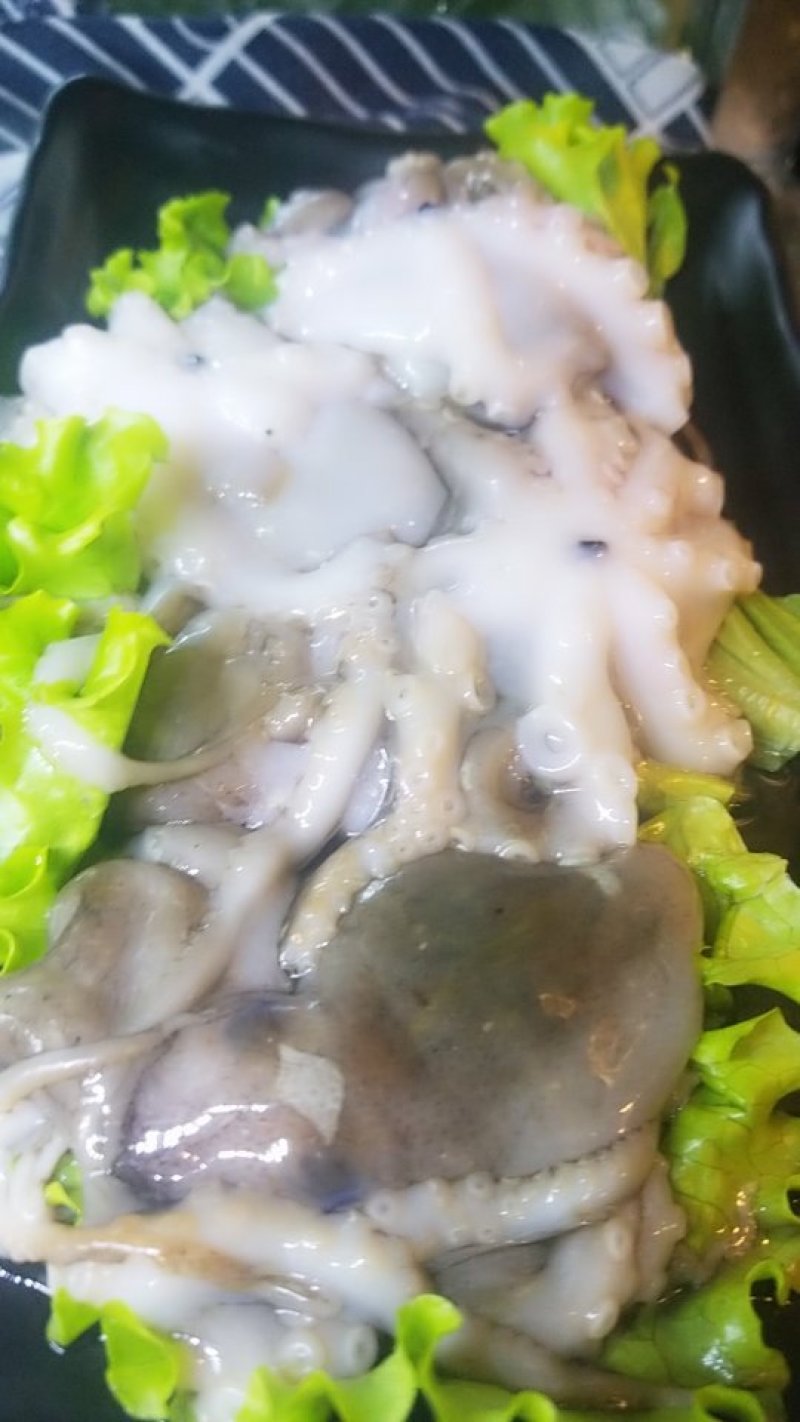 八爪鱼
