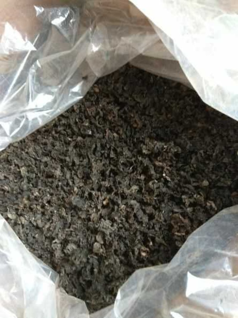 地皮菜一精心筛选、诚信经营、购买放心