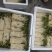 鱼腥草鱼腥草嫩芽折耳芽折耳根折耳根嫩芽