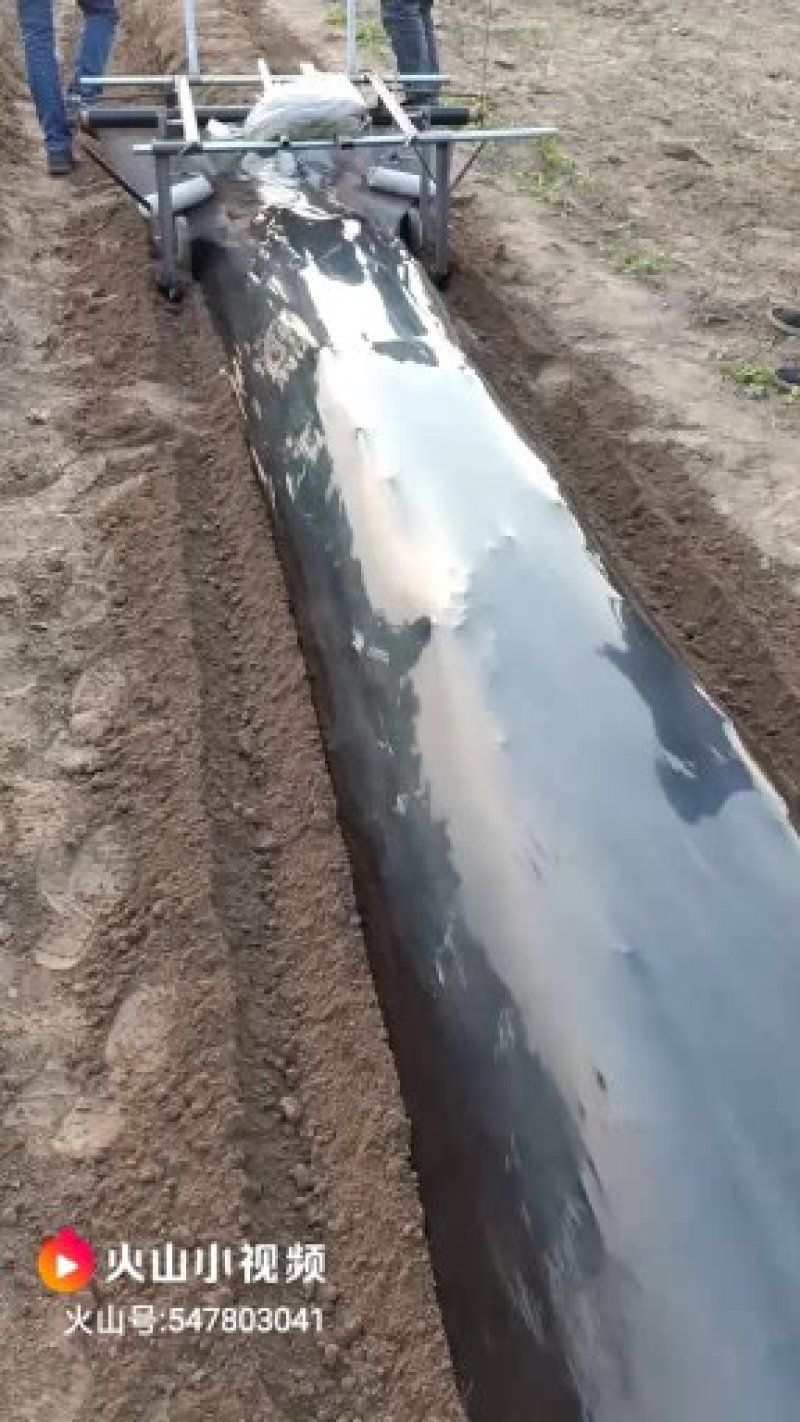 地膜机（高隆/平地)两用型