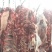 牛羊肉批发