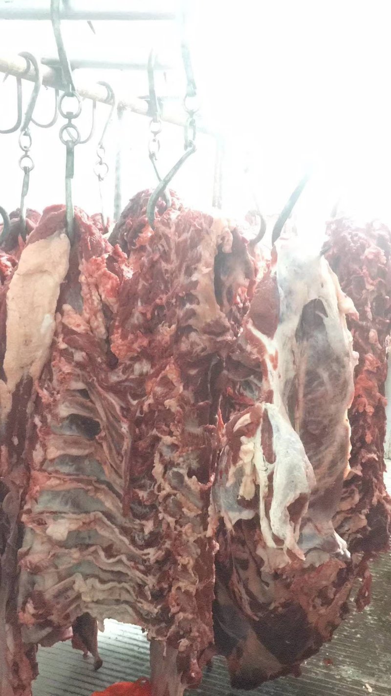 牛羊肉批发