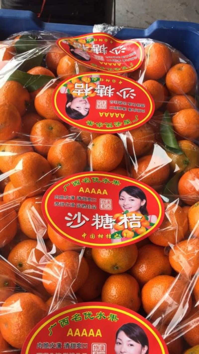 雄安新区直销广西产地砂糖桔