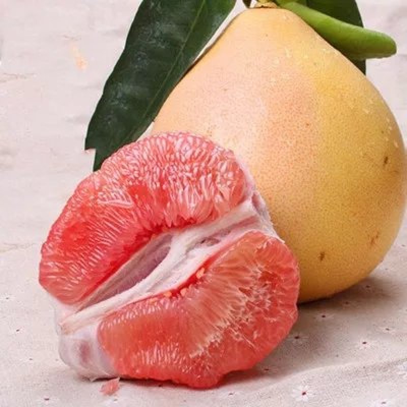 红心柚子苗
