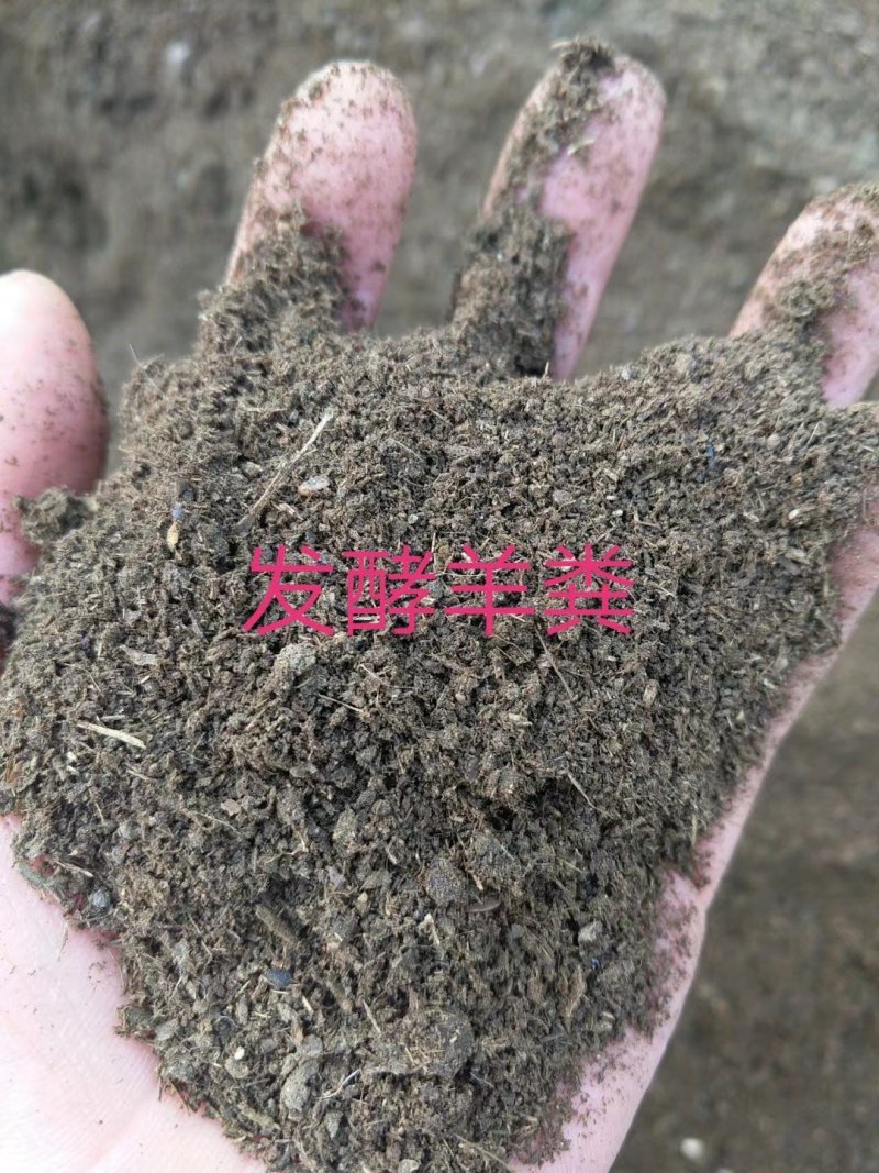 {实力}发酵鸡粪/生物有机肥//禽畜粪便/厂家直发全国保质量