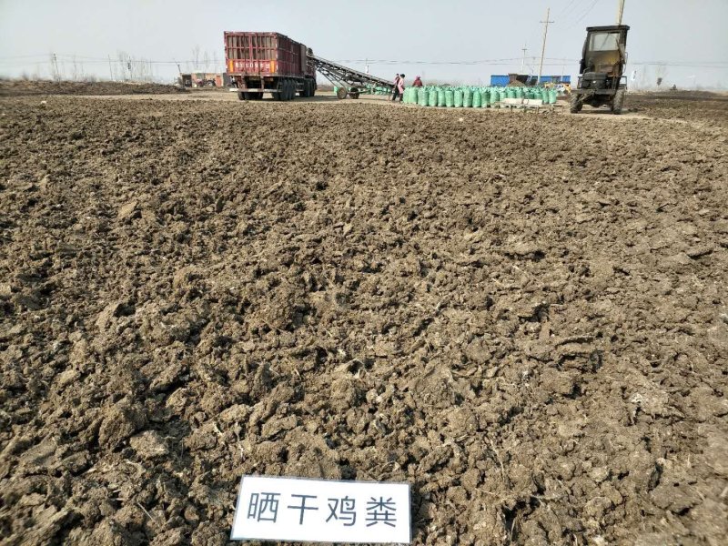 {实力}发酵鸡粪/生物有机肥//禽畜粪便/厂家直发全国保质量