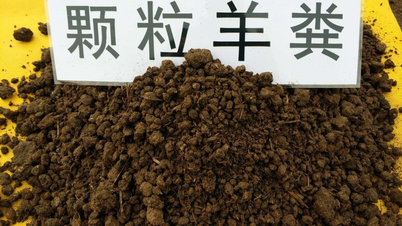 {实力}发酵鸡粪/生物有机肥//禽畜粪便/厂家直发全国保质量