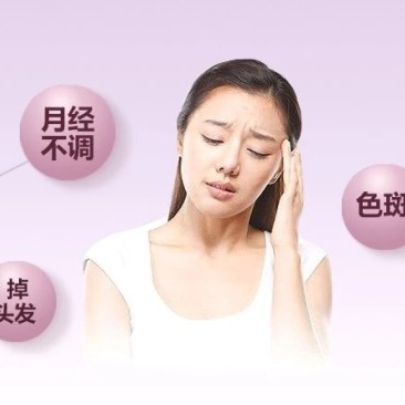 阿胶糕