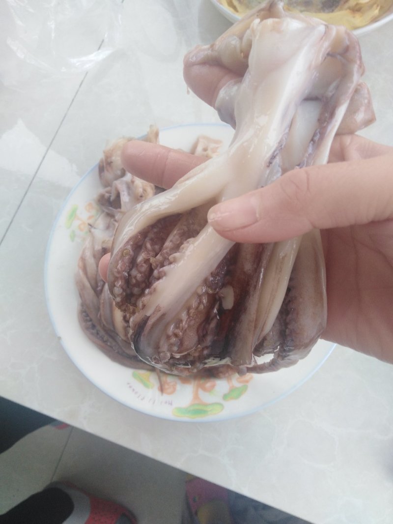 带鱼秘鲁鱿鱼头可发样品