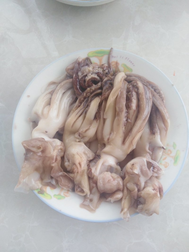 带鱼秘鲁鱿鱼头可发样品