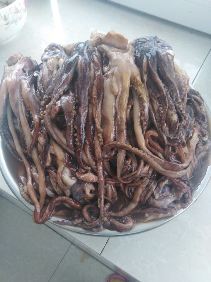 带鱼秘鲁鱿鱼头可发样品