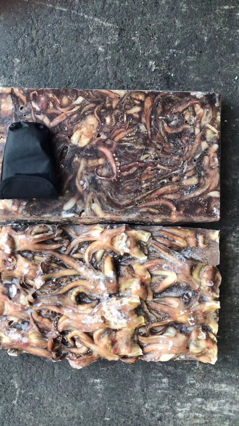 带鱼秘鲁鱿鱼头可发样品