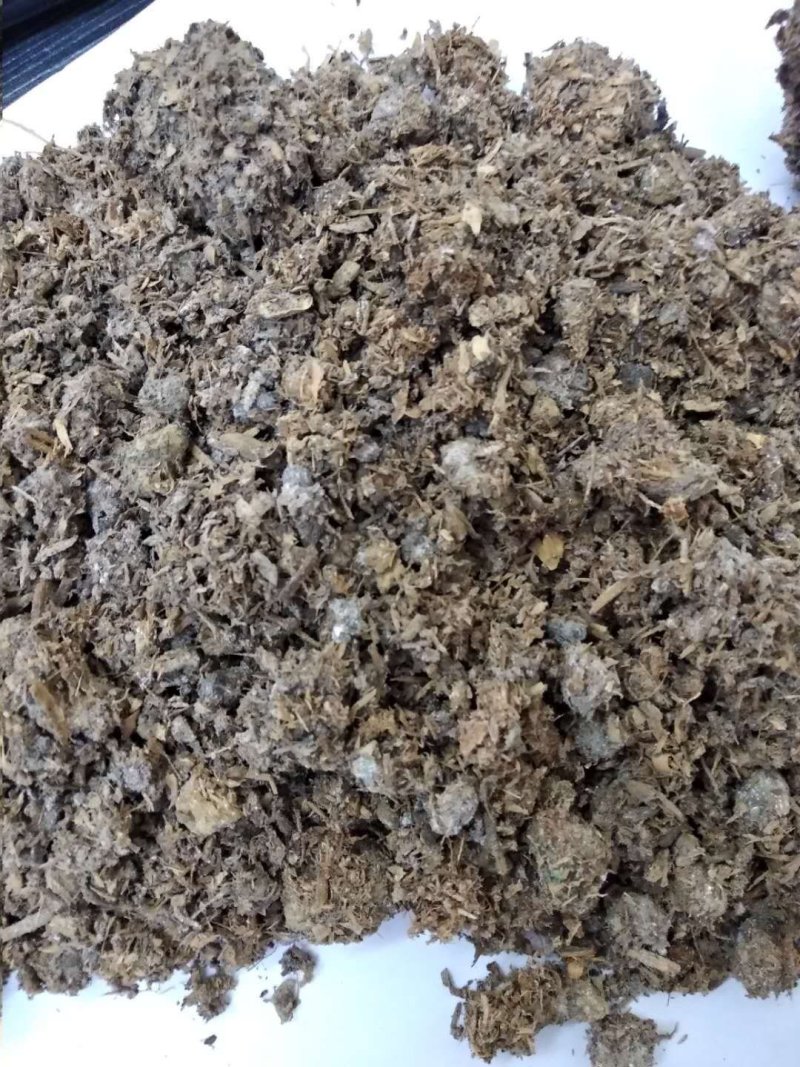菌渣