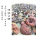 野生灵芝