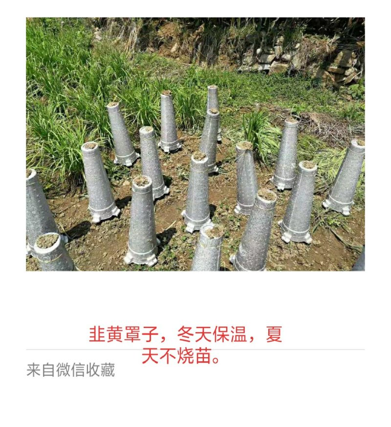 泡沫箱