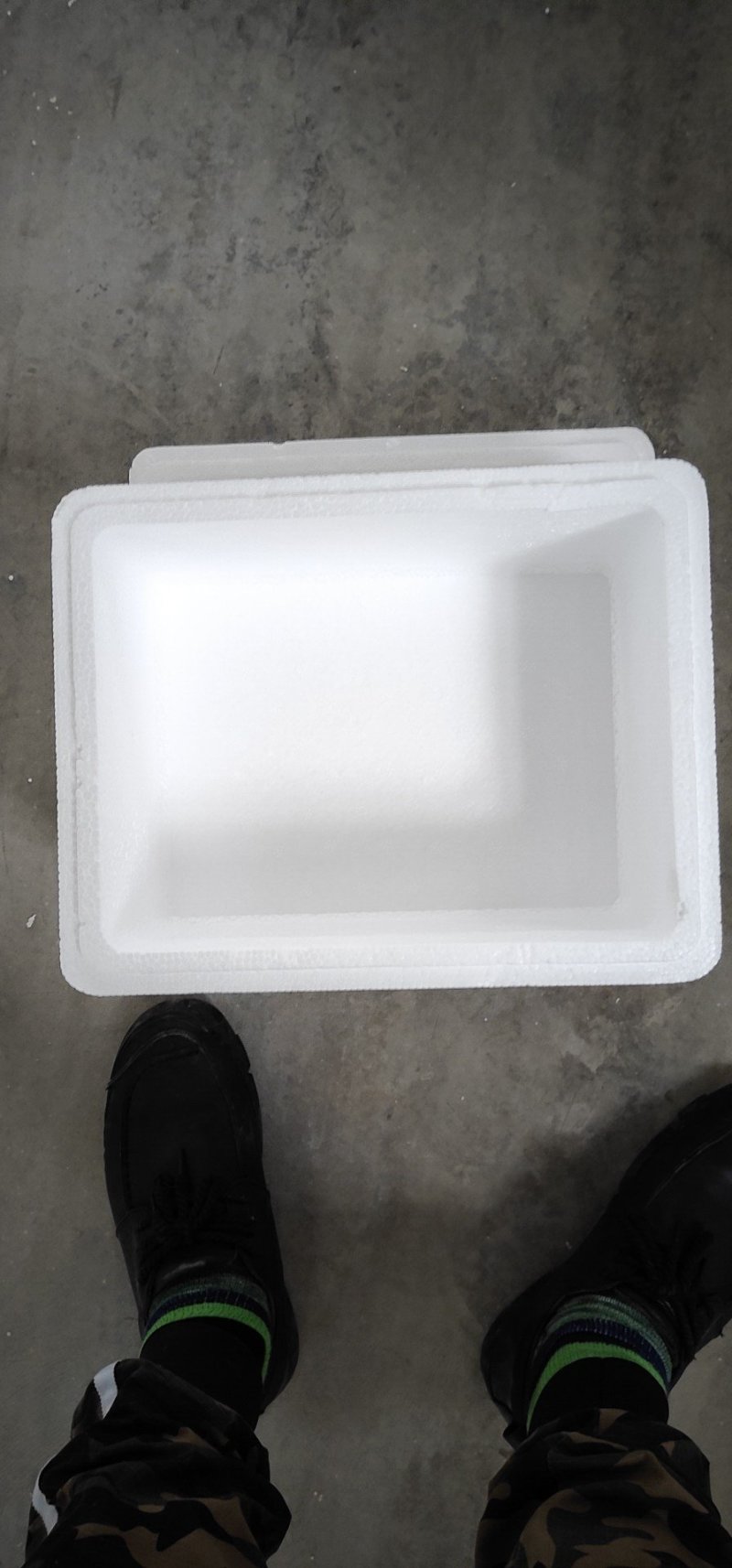泡沫箱