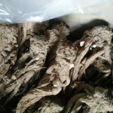 甘肃当归大中小归格