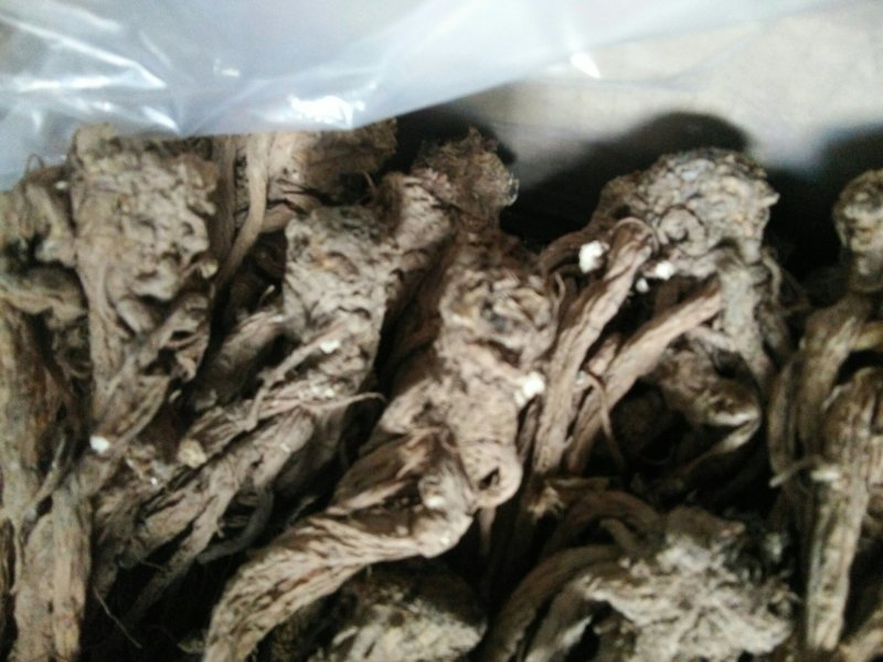 甘肃当归大中小归格