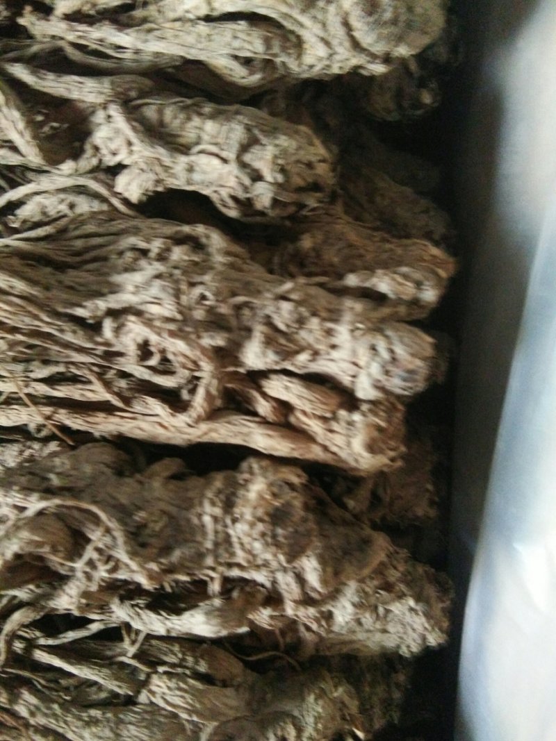 甘肃当归大中小归格
