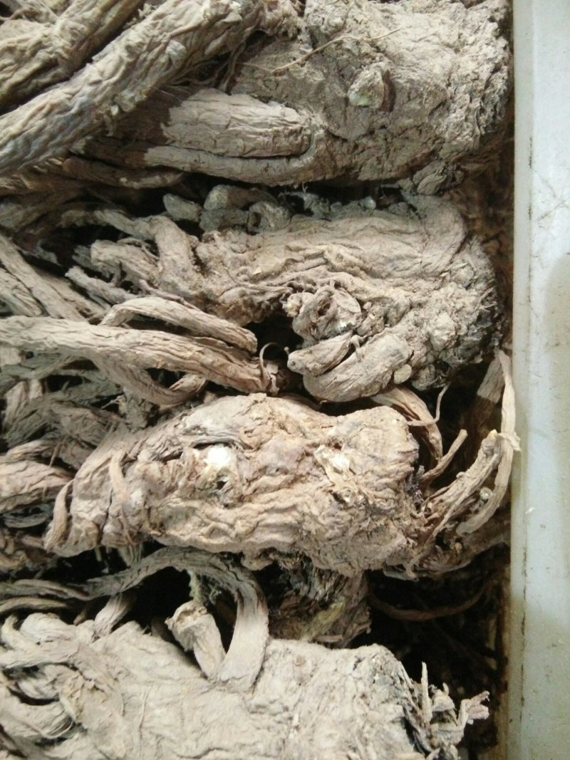 甘肃当归大中小归格