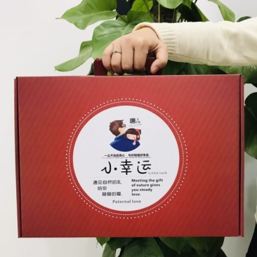 坚果礼盒，送领导，送亲戚倍有面子