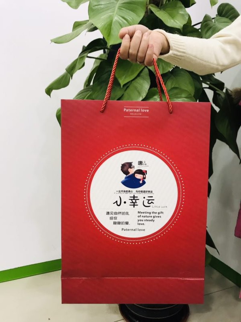 坚果礼盒，送领导，送亲戚倍有面子