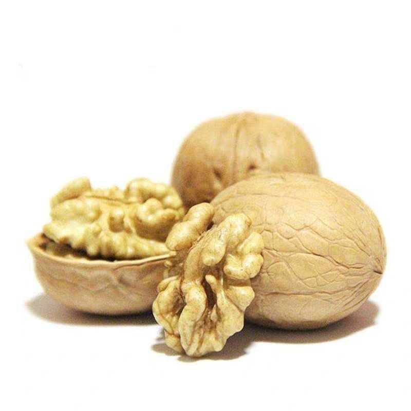 新货涉县特产薄皮核桃5斤实惠装散装生核桃薄克孕妇坚果