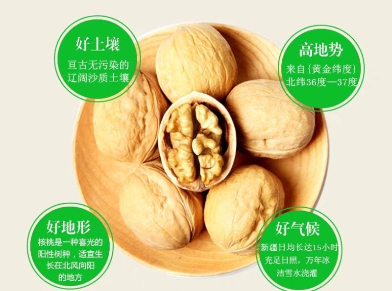 新货涉县薄皮核桃散装新鲜原味薄皮生核桃孕妇薄壳核桃实惠