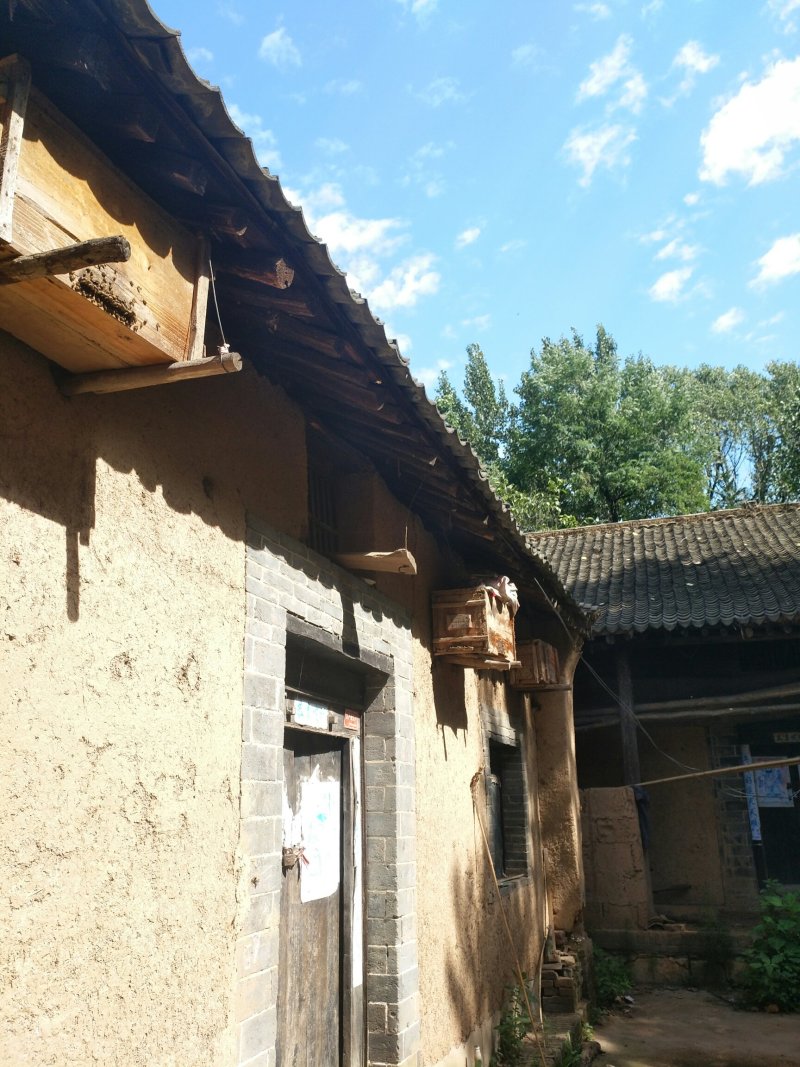野生土蜂蜜