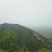 野生土蜂蜜