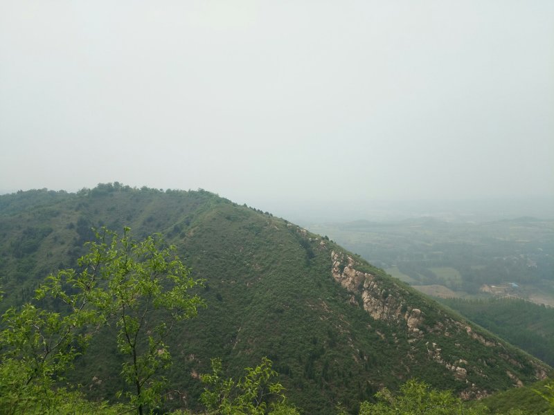 野生土蜂蜜