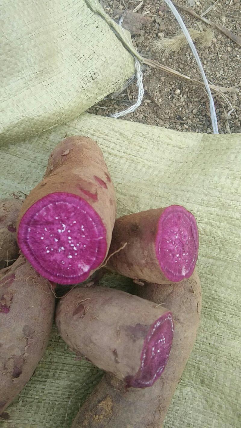 山地紫罗兰紫薯，紫薯货源价格便宜！！电商发货质量保证，