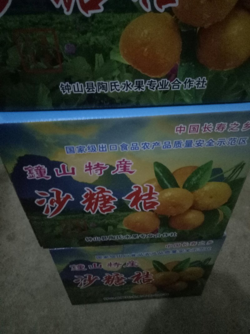 荔浦砂糖橘，金黄小柑橘