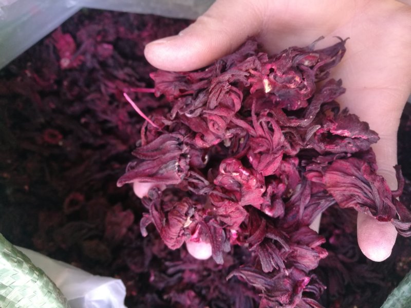 云南玫瑰茄，进口玫瑰茄，各种规格有大货