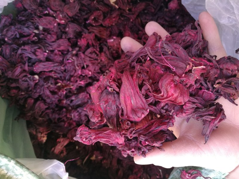 云南玫瑰茄，进口玫瑰茄，各种规格有大货