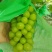 （精选葡萄）大荔阳光玫瑰葡萄一手货源量大价优