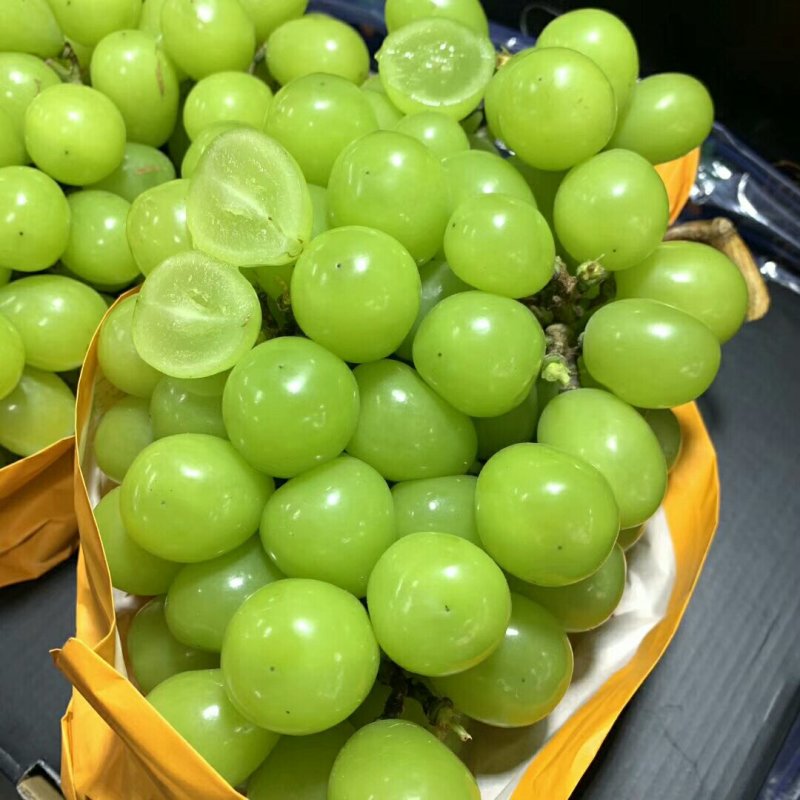 （精选葡萄）大荔阳光玫瑰葡萄一手货源量大价优