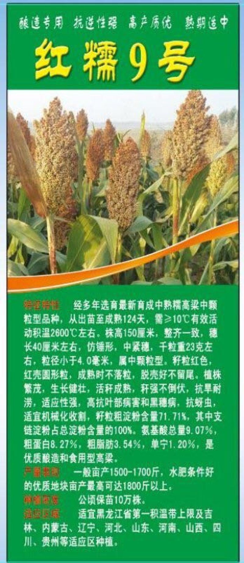 糯高粱种子
