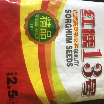 糯高粱种子