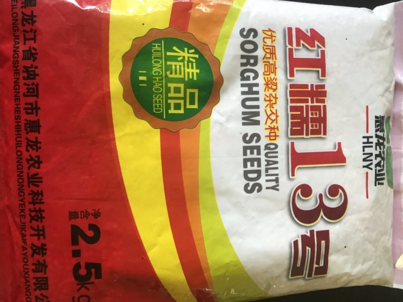 糯高粱种子
