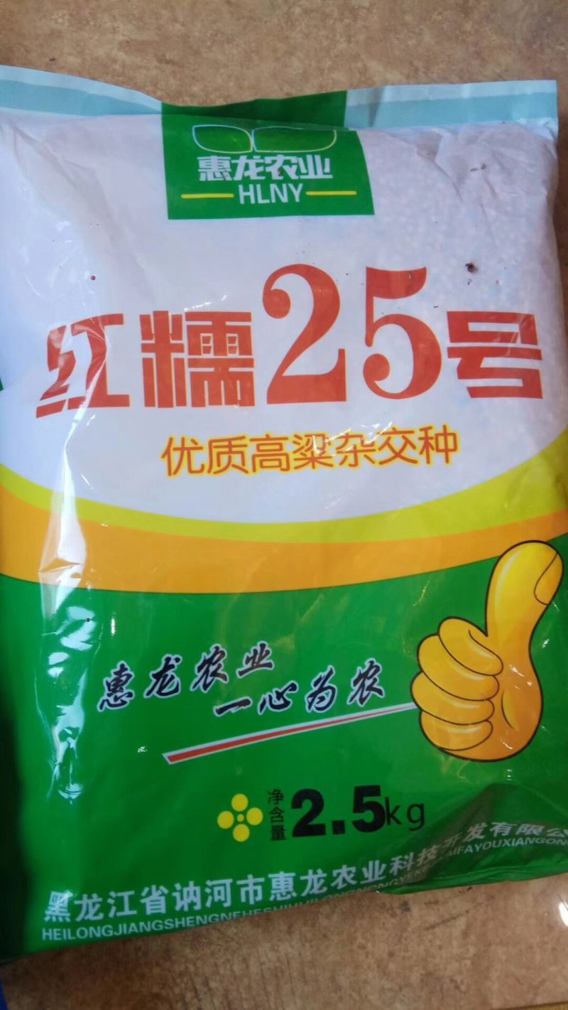 糯高粱种子