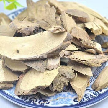 飞龙掌血中药材